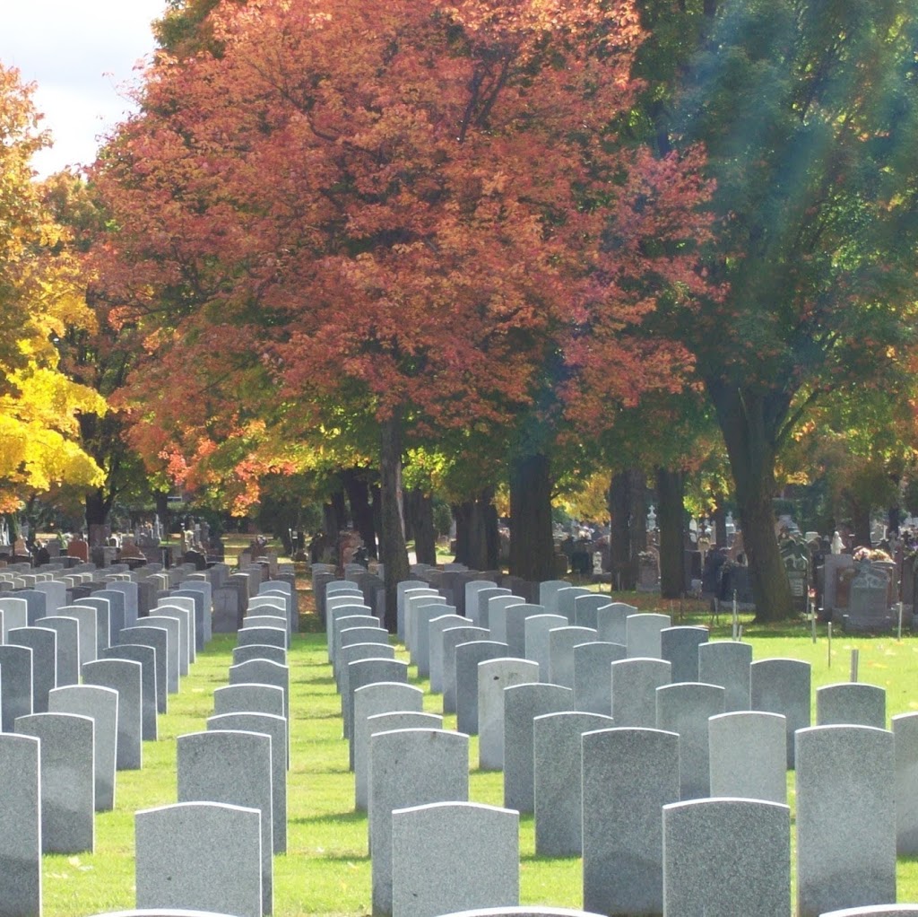 Notre-Dame Cemetery | 455 Montreal Rd, Ottawa, ON K1K 0V2, Canada | Phone: (613) 746-4175