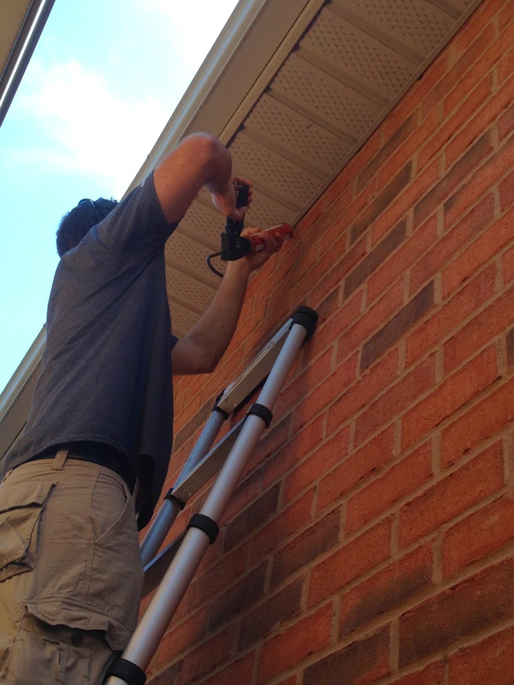 AnyPest | 5 Belleau St, Hamilton, ON L8J 1N1, Canada | Phone: (855) 886-7378
