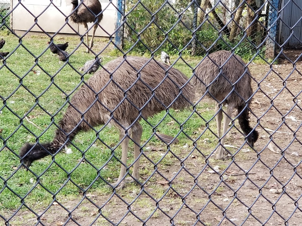 Oshawa Zoo | 3377 Grandview St N, Oshawa, ON L1H 8L7, Canada | Phone: (905) 655-5236