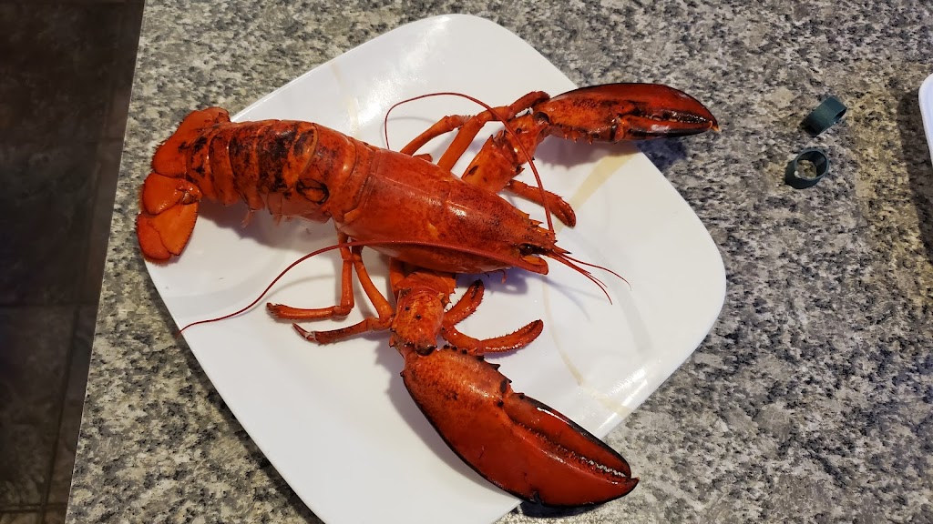 Island Enterprises | 94 Maplewood Dr, Summerside, PE C1N 5E6, Canada | Phone: (226) 213-1967