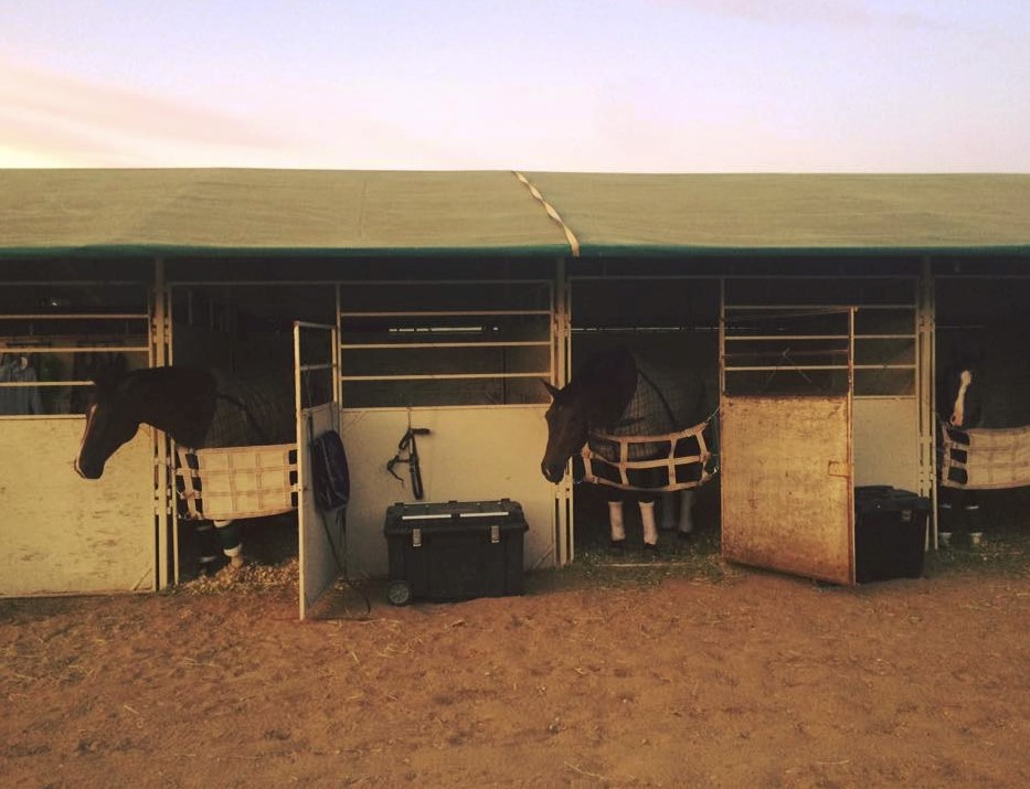Bayview Equestrian Centre | 3180 Cedar Springs Road #A, Burlington, ON L7P 0P7, Canada | Phone: (905) 331-6516