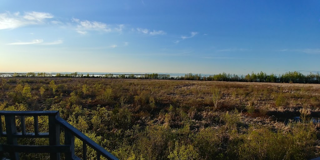 Tourbière de Saint-Prime | Chem. de lÎle des Saules, Saint-Prime, QC G8J 1W2, Canada | Phone: (581) 719-1212
