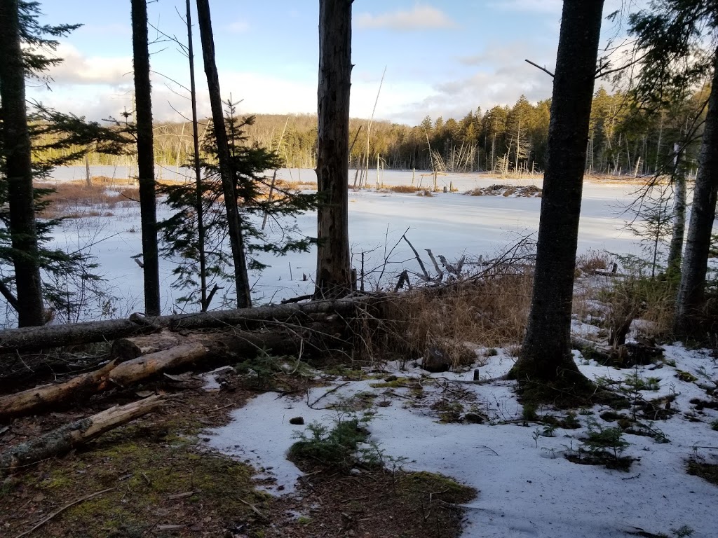 Refuges du lac Démélé | 224 Chemin du Lac Cameron, Amherst, QC J0T 2T0, Canada | Phone: (514) 462-0222