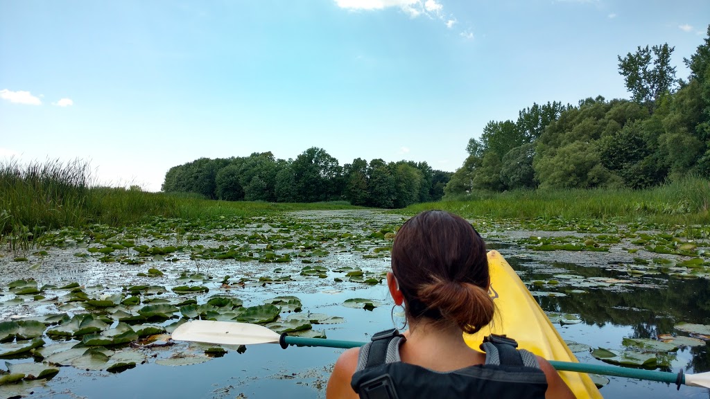 Centre Nautique Châteauguay | 540 Boulevard DYouville, Châteauguay, QC J6J 5T2, Canada | Phone: (450) 698-3122