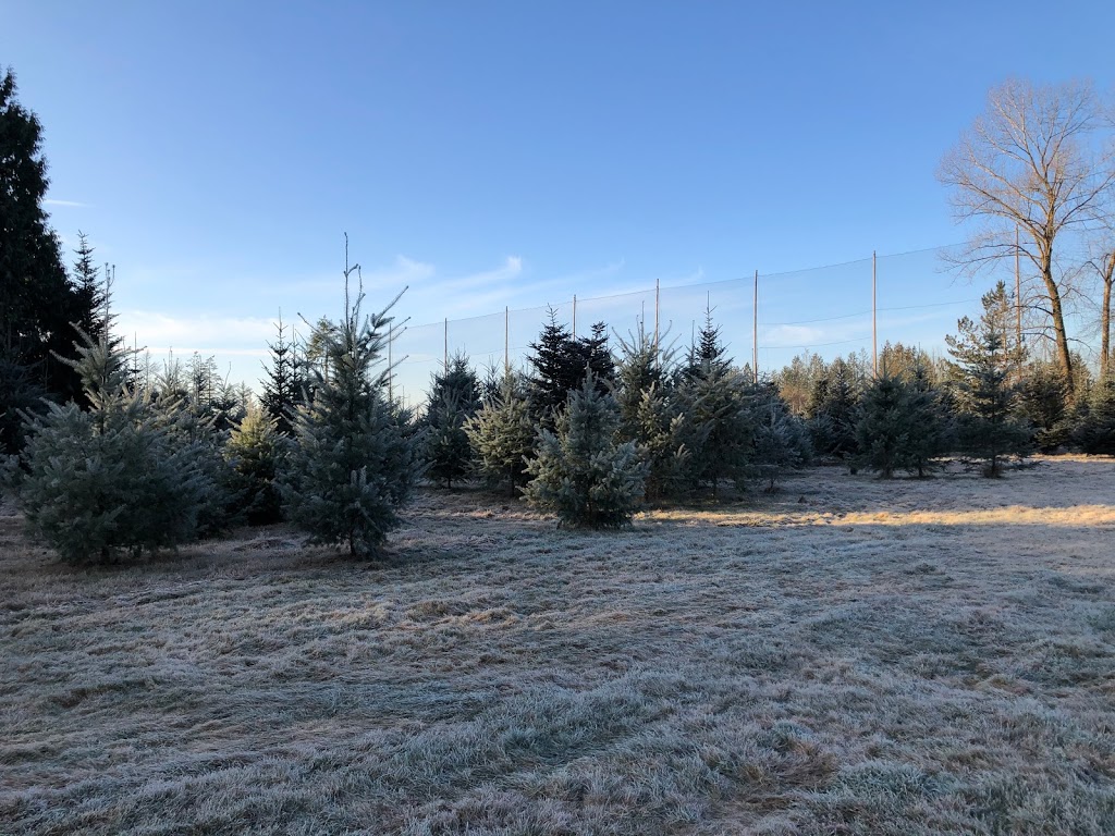 Harris Road Christmas Tree Farm | 13533 Harris Rd, Pitt Meadows, BC V3Y 2T3, Canada | Phone: (604) 460-9500