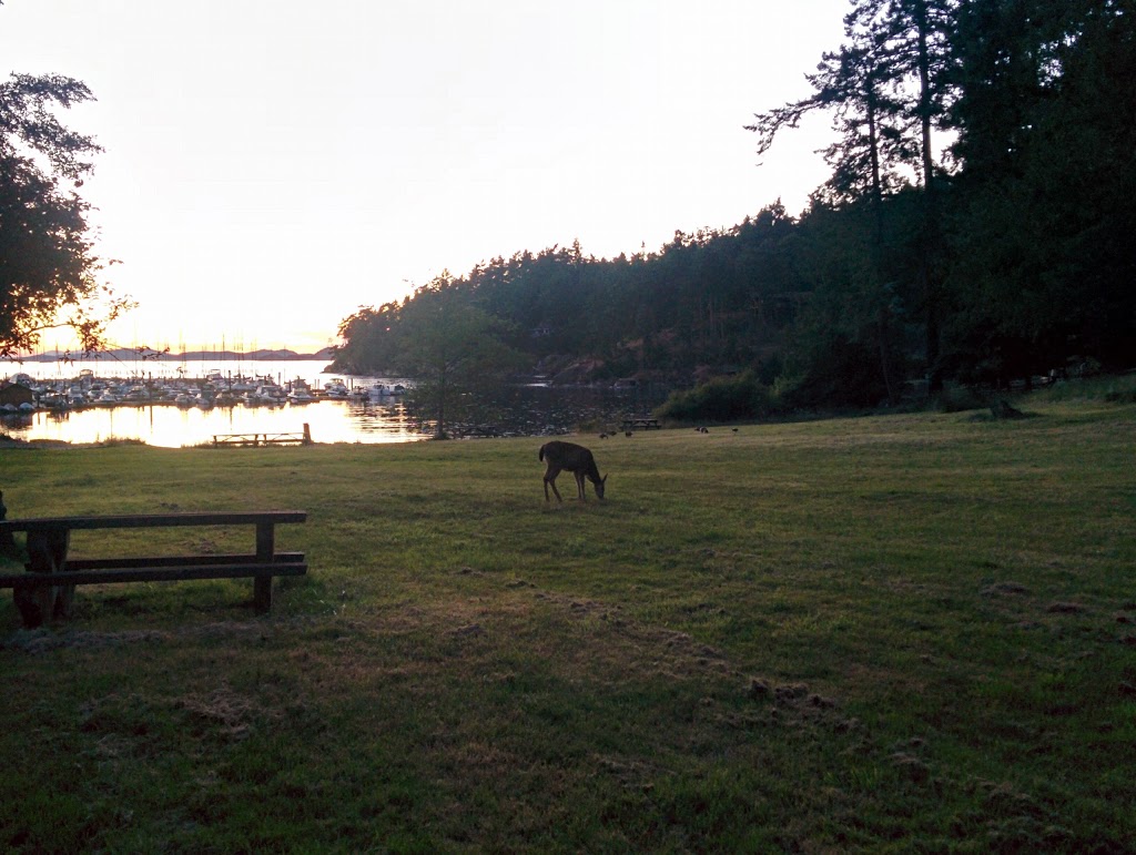 Thieves Bay Park | Anchor Way, Pender Island, BC V0N 2M2, Canada