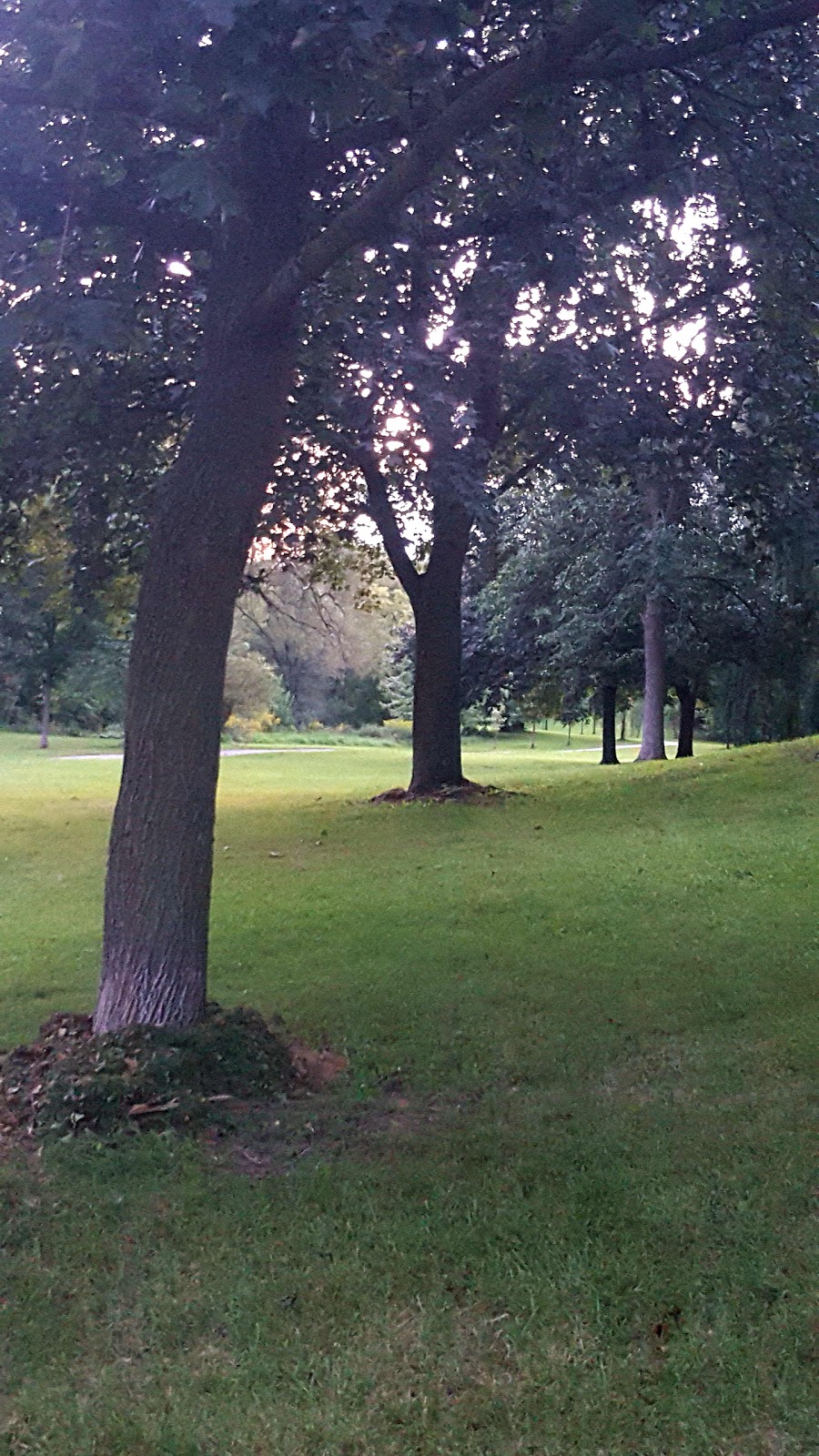 The Elms Park | 25 Auburndale Ct, Etobicoke, ON M9W, Canada | Phone: (416) 338-4386