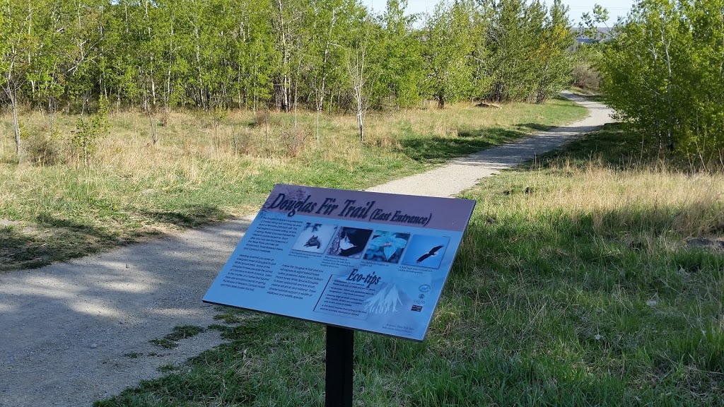 Douglas Fir Trail (east entrance) | branch from Quarry Road off of, Cedar Crescent SW, Calgary, AB T3C 3A6, Canada