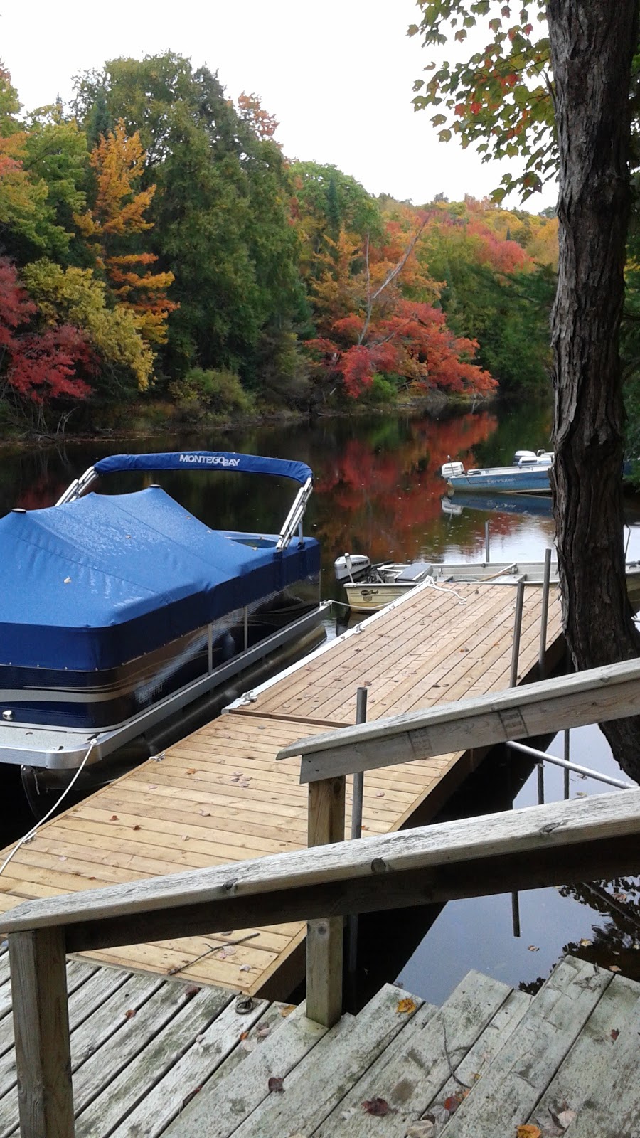 Katrine Marine | 86 Doe Lake Rd, Katrine, ON P0A 1L0, Canada | Phone: (705) 382-3806