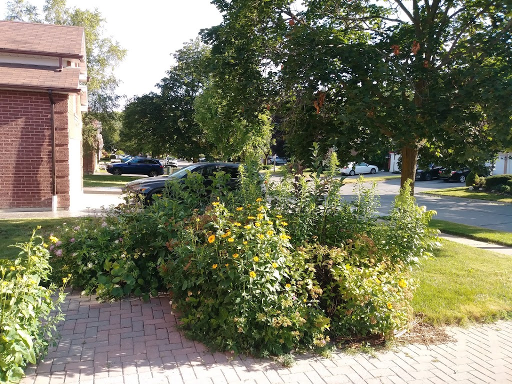 Azure Gardens | 81 Steele St, Alliston, ON L9R 0E5, Canada | Phone: (705) 717-4700
