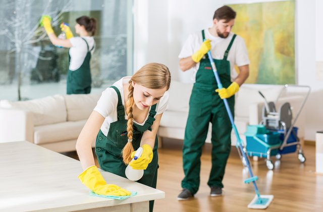Top to bottom cleaning | 170 Chalkfarm Dr #1511, North York, ON M3L 2H9, Canada | Phone: (437) 777-8015