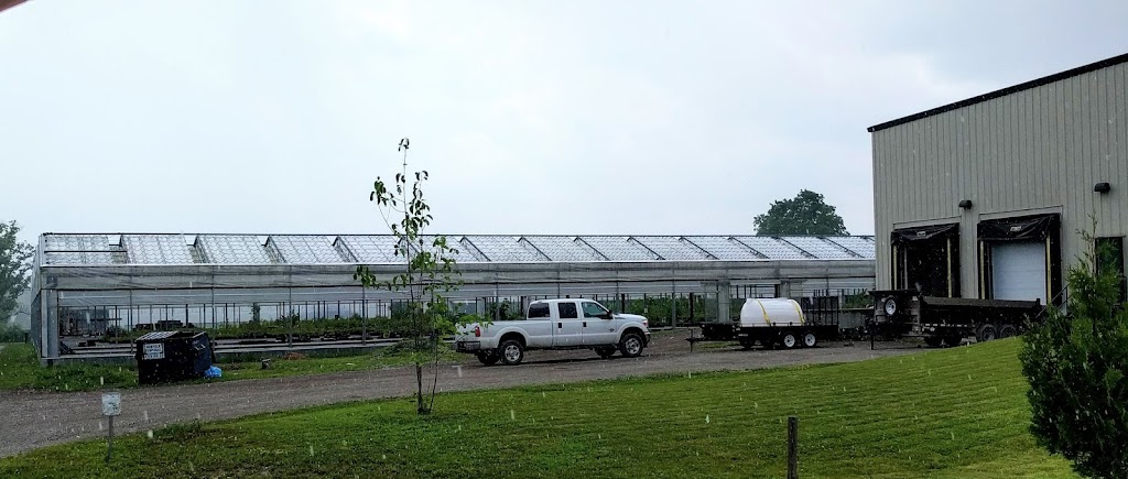Kayanase | 993 Brant County Hwy 54, Caledonia, ON N3W 2G9, Canada | Phone: (519) 770-0013