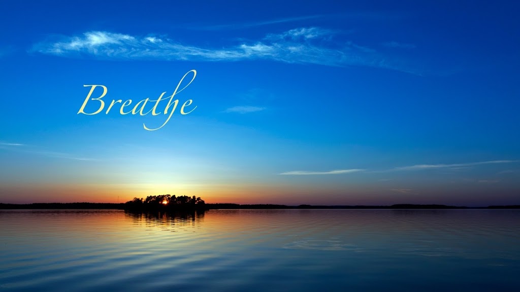 Saanich Physiotherapy and Sports Clinic | 5401 Hamsterley Rd, Victoria, BC V8Y 1S4, Canada | Phone: (250) 361-5500