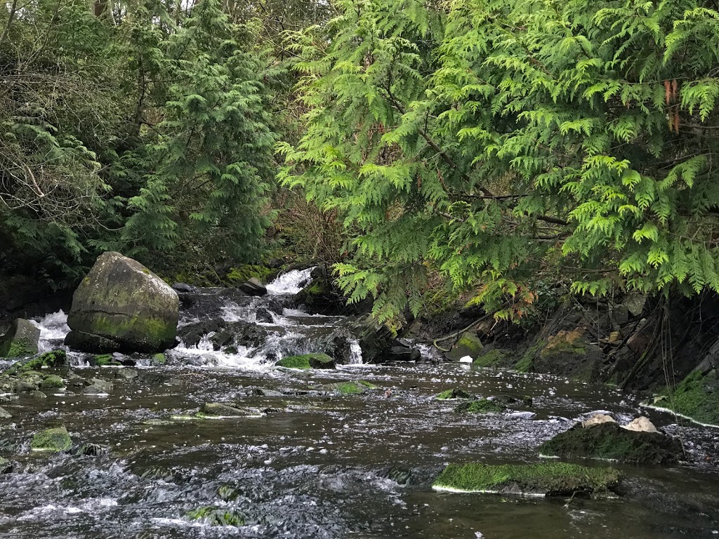 Daniel Street Park | Daniel St, Chemainus, BC V0R 1K1, Canada