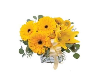 The Flower Stop & Gift Shop | 9918 104 St, Morinville, AB T8R 1R8, Canada | Phone: (780) 939-3440