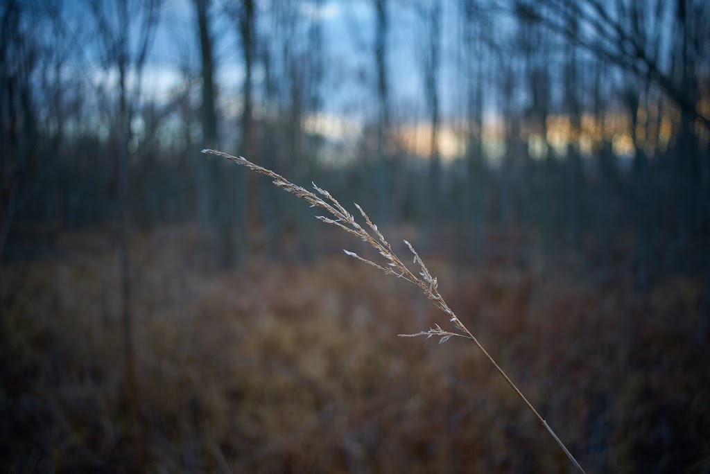 Dofasco 2000 Rail Trail | 204 Ridge Rd, Stoney Creek, ON L8J 2W1, Canada