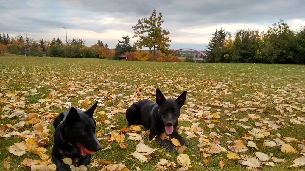 Shaganappi Off Leash Area | 1418 25a St SW, Calgary, AB T3C 1J8, Canada