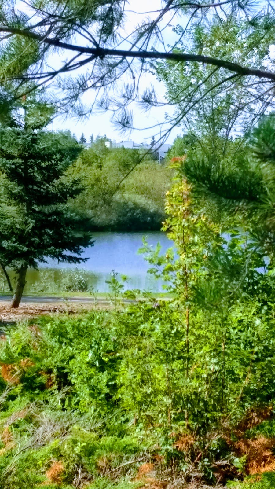 Trounce Pond | Saskatoon, SK S7V 1J2, Canada | Phone: (306) 975-3300
