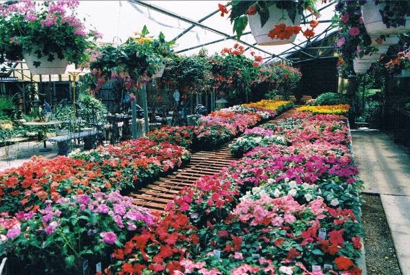 A&M Garden Centre and Sod Supply | 4171 Colonel Talbot Rd, London, ON N6P 1A1, Canada | Phone: (519) 652-3539
