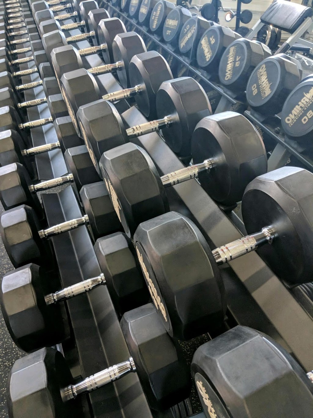 TrainerGames Fitness Centre | 735 Industrial Rd, Shelburne, ON L9V 2Z4, Canada | Phone: (519) 925-1555