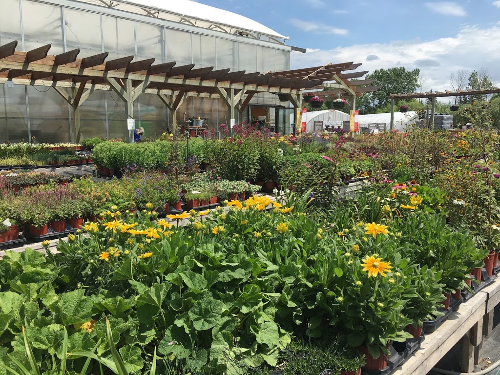 C & S Country Gardens | 937 Dawson Rd, Lorette, MB R0A 0Y0, Canada | Phone: (204) 878-3454