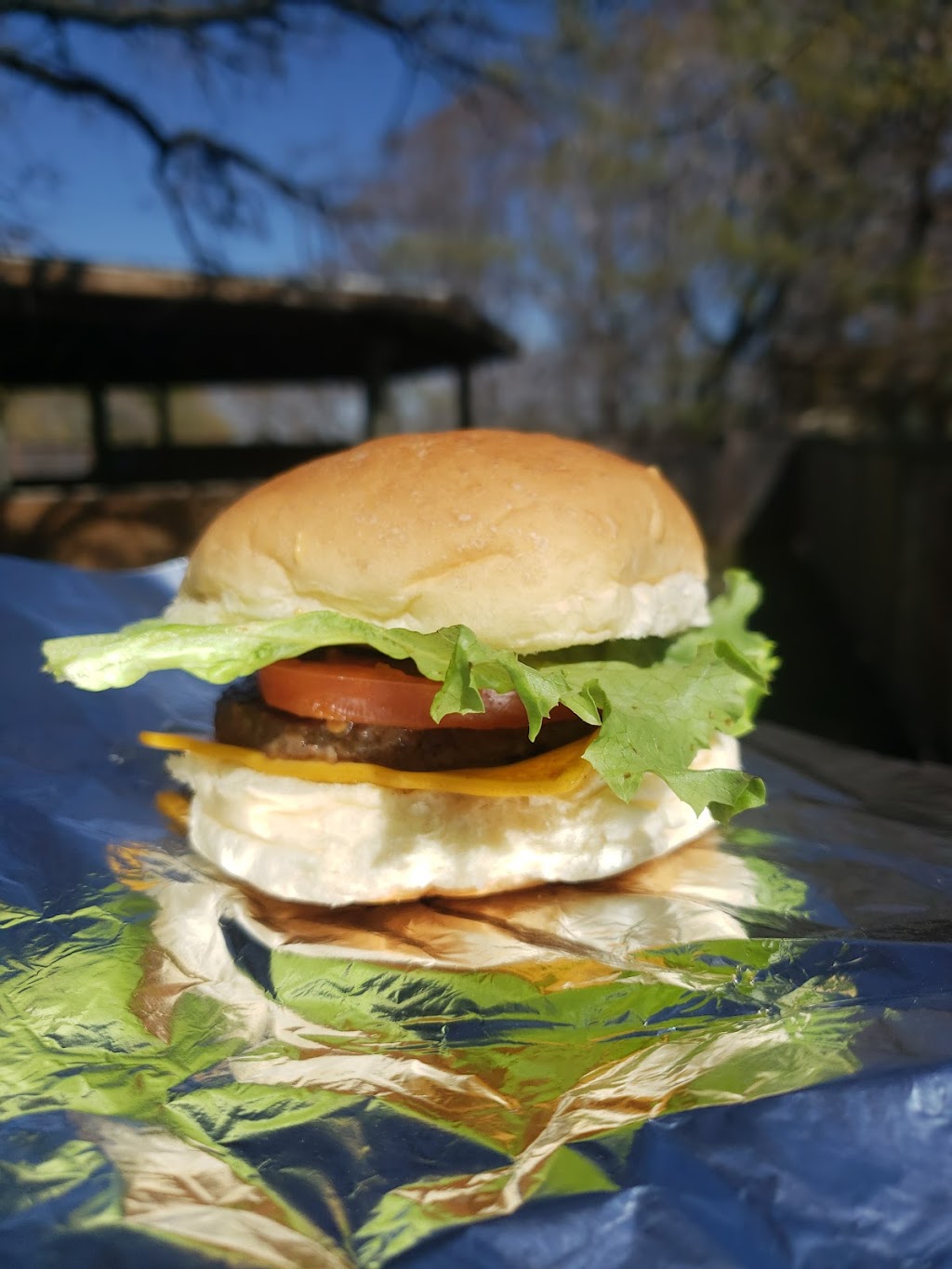 Fields Drive In | 66 Main St N, Kleefeld, MB R0A 0V0, Canada | Phone: (204) 377-9090