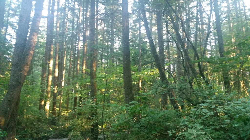 Green Timbers Urban Forest | 14600 100 Ave, Surrey, BC V3V 7Z2, Canada | Phone: (604) 591-4011