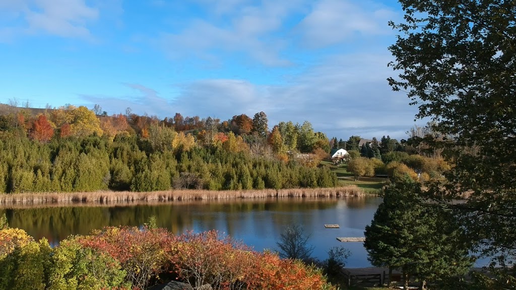 The Hollows Camp | 3155 Line 13, Bradford, ON L3Z 3P7, Canada | Phone: (905) 775-2694