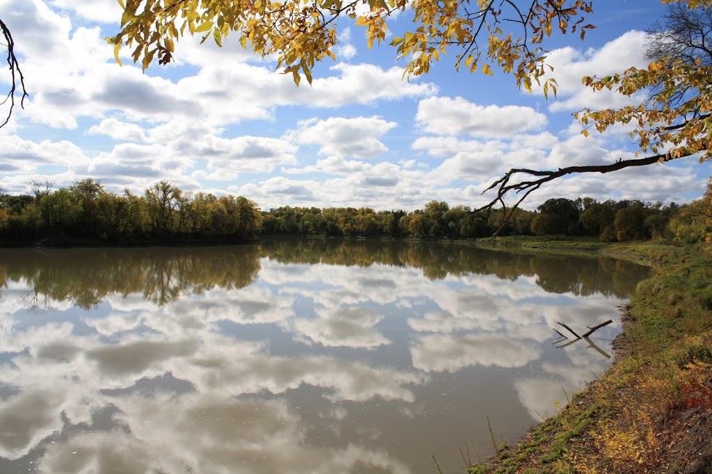 Chesters Park | 155 Freedman Crescent #131, Winnipeg, MB R3T 2N1, Canada