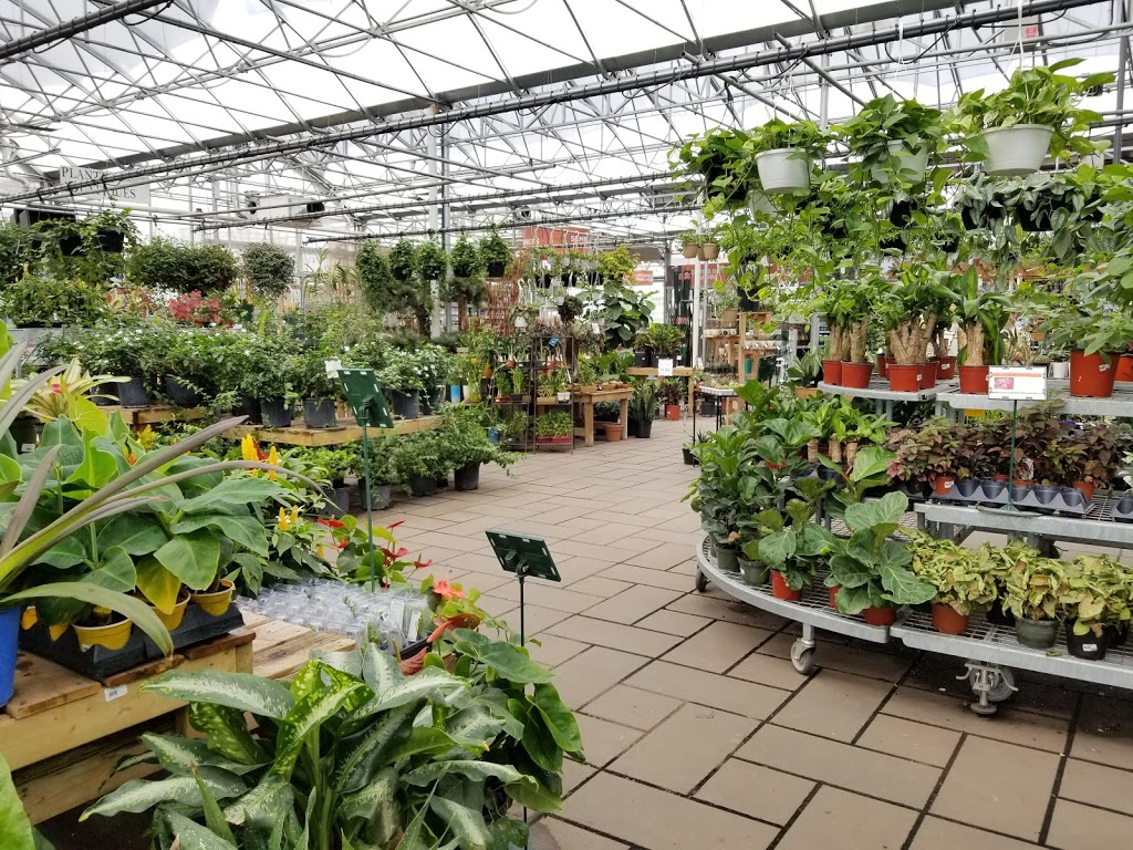 Centre De Jardin Brossard Inc | 6305 Grande Allée, Brossard, QC J4Z 3H6, Canada | Phone: (450) 443-2299