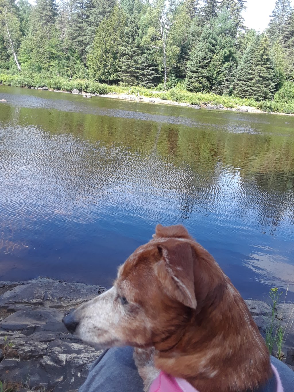 Domaine des Cerfs | 3183 Chemin de lÉglise, Chertsey, QC J0K 3K0, Canada | Phone: (450) 803-3183