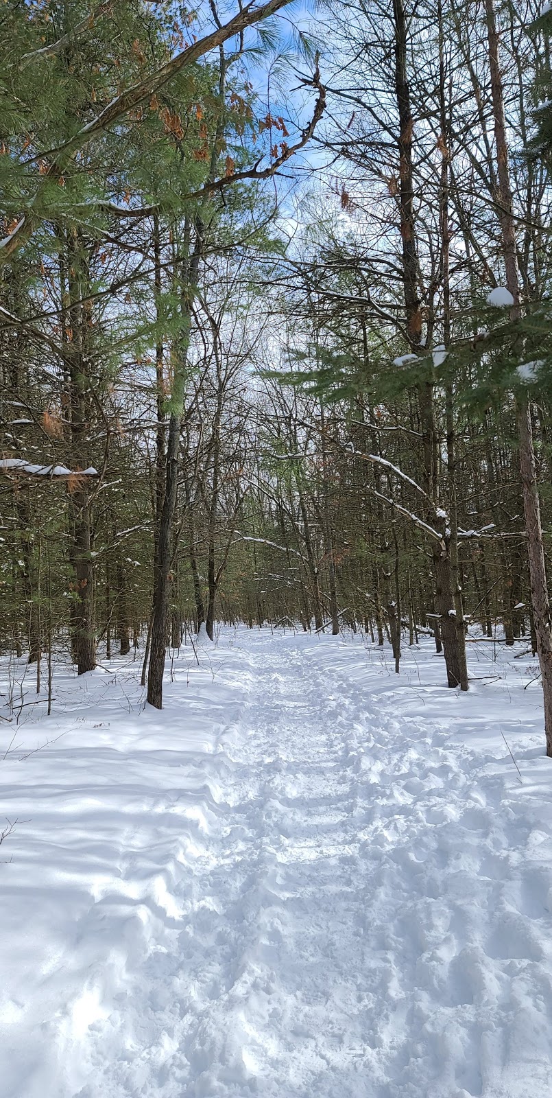 Sager Conservation Area | 30 Golf Course Rd, Quinte West, ON K0K, 30 Golf Course Rd, Quinte West, ON K0K, Canada | Phone: (613) 394-4829