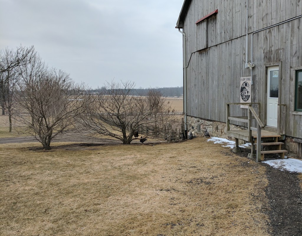 Whole Circle Farm | 8786 Wellington Road 50, Acton, ON L7J 1W9, Canada | Phone: (519) 856-1384