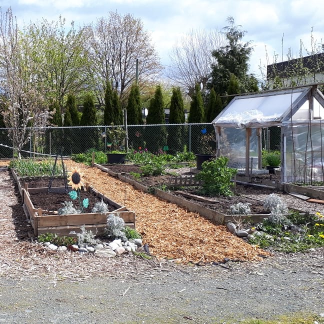 Sunshine Community Garden | Sardis, Chilliwack, BC V2R 5Y3, Canada