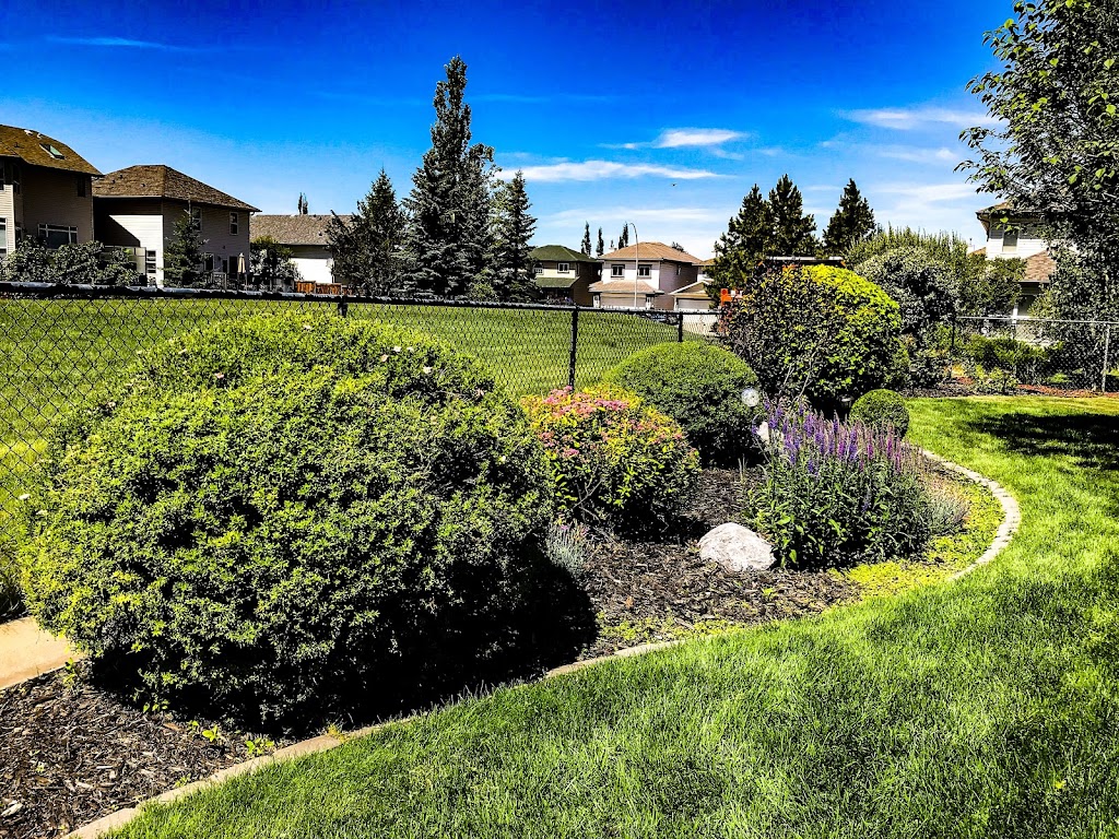 Total Tree Solutions Ltd | 24137 Old Banff Coach Rd NW, Calgary, AB T3Z 3N4, Canada | Phone: (403) 400-4572