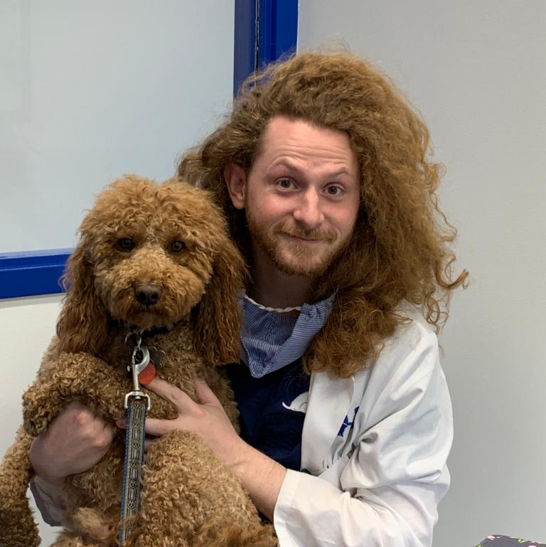 Toronto Animal Health Partners Emergency and Specialty Hospital | 1 Scarsdale Rd, North York, ON M3B 2R2, Canada | Phone: (416) 380-7400