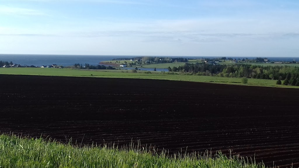 Rollo Bay Holdings Ltd | 677 Route 2, Souris, PE C0A 2B0, Canada | Phone: (902) 687-3333