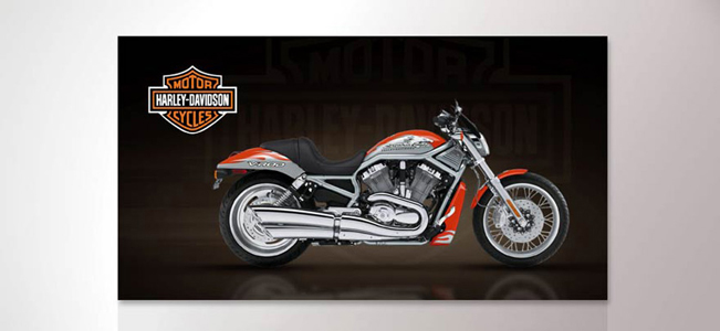 Nubiz Design | 353 Lahey Rd, Madoc, ON K0K 2K0, Canada | Phone: (647) 274-3728