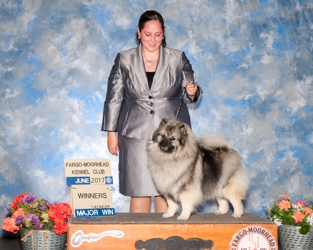 BeauKees Keeshonden | 13-51109, Range Rd 271, Spruce Grove, AB T7Y 1G7, Canada | Phone: (780) 554-0825