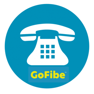 Gofibar Inc | 1193A Brimley Rd Unit:10, Scarborough, ON M1P 3G5, Canada | Phone: (647) 797-5000