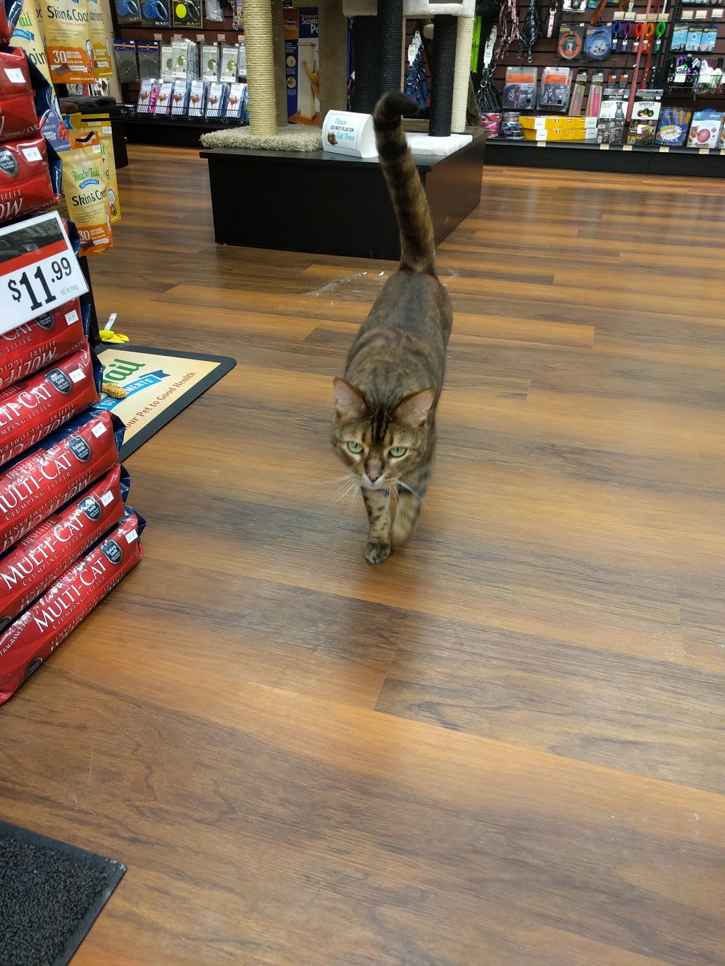 Pet Valu | 400 North Town Road, Winnipeg, MB R3Y 0Y3, Canada | Phone: (204) 269-6336