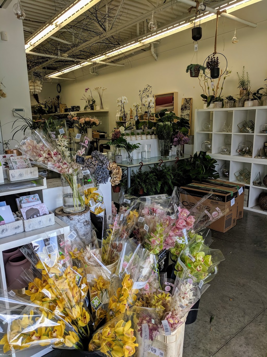Garden Party Flowers | 415 Industrial Ave, Vancouver, BC V6A 2P8, Canada | Phone: (604) 731-2737