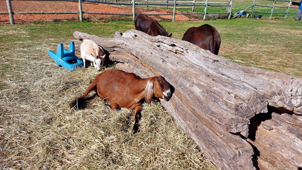 Willowbank U-Pick Farm | Starrs, 110 Starrs Point Loop, Port Williams, NS B0P 1T0, Canada | Phone: (902) 542-9153