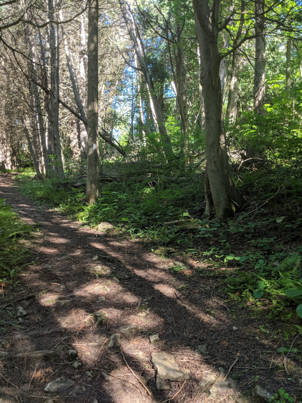 Camp Manitou - Scouts Canada | 7484 Twiss Rd, Milton, ON L0P 1B0, Canada | Phone: (416) 490-6364
