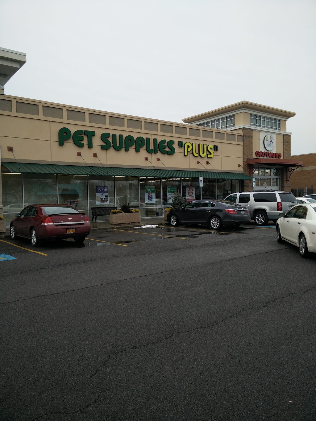Pet Supplies Plus | 2952 Niagara Falls Blvd, Amherst, NY 14228, USA | Phone: (716) 695-3595