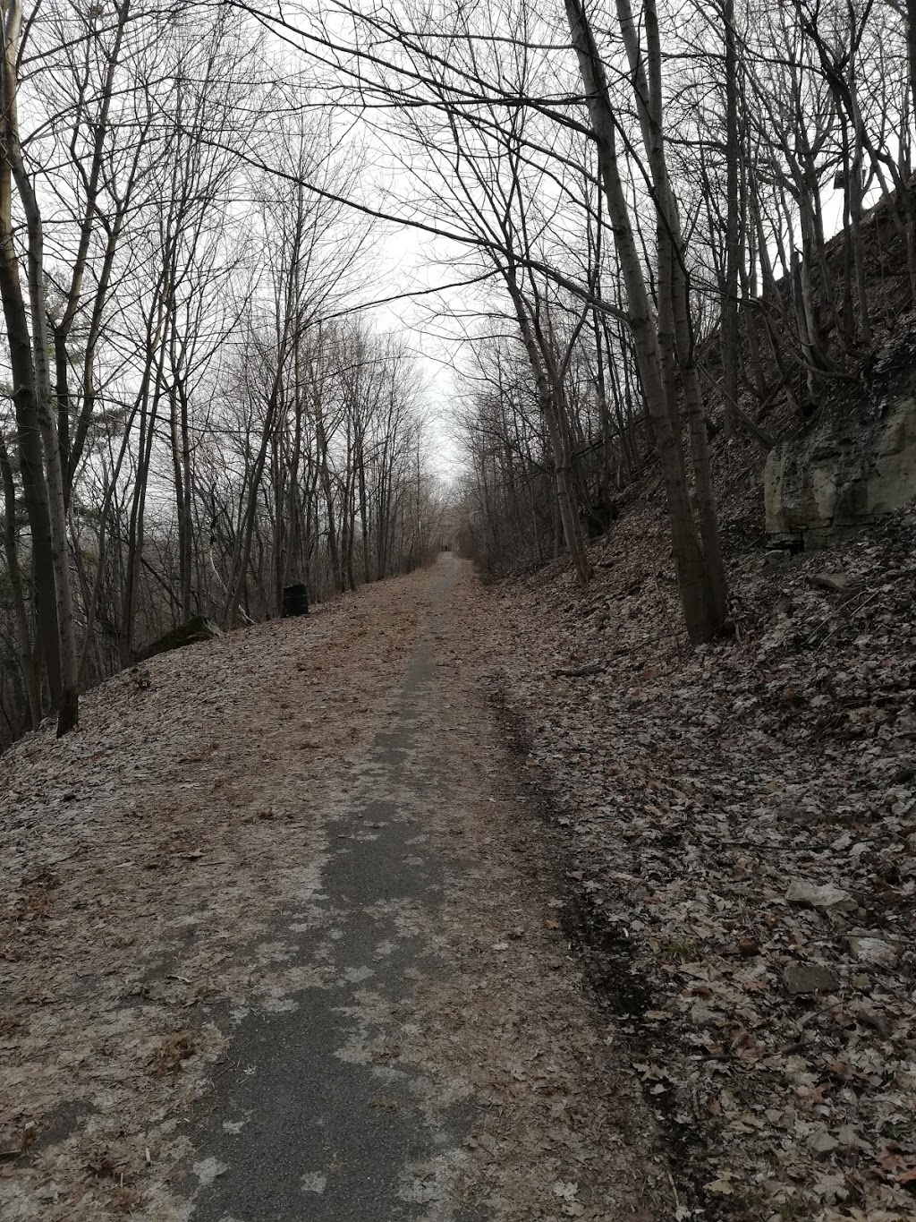Mountain Brow-Margate Stairs | Mountain Brow Blvd, Hamilton, ON L8T 1A7, Canada