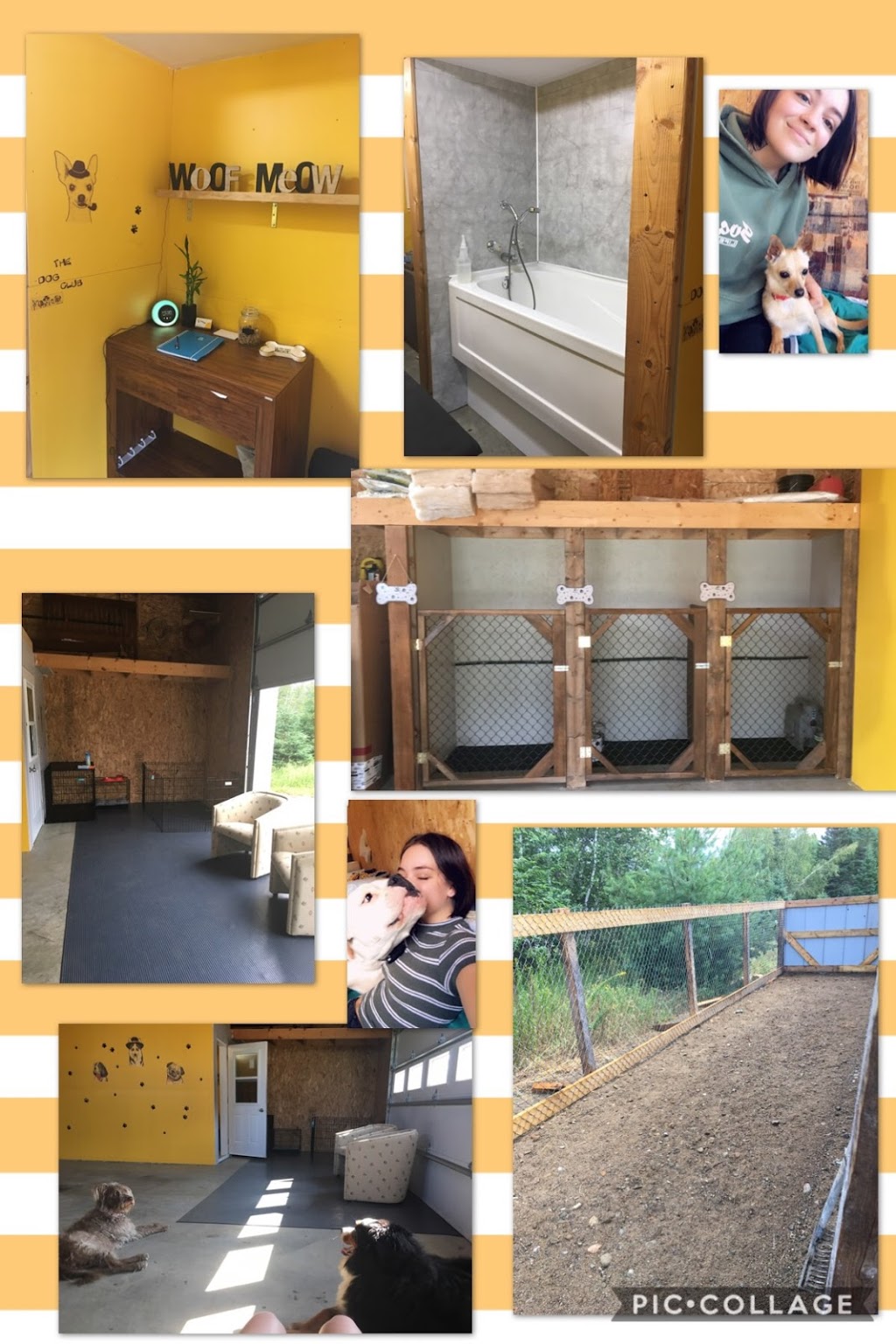 Toilettage Tout au poil | 100 Rue de la Petite-Terre, Saint-Alexis-des-Monts, QC J0K 1V0, Canada | Phone: (819) 268-9800