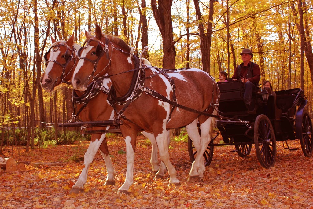 Érablière Prince | 1785 9e Rang, Saint-Wenceslas, QC G0Z 1J0, Canada | Phone: (819) 224-4222