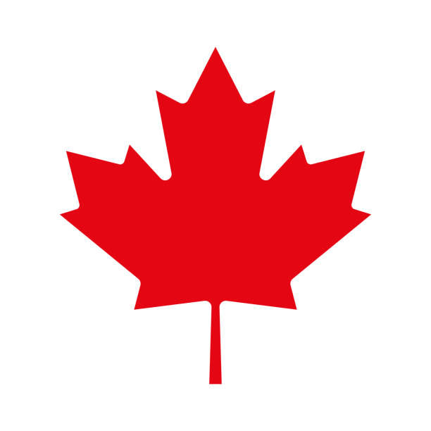 Eleven Point Global Immigration | 52 Quillberry Cl, Brampton, ON L7A 4N8, Canada | Phone: (647) 673-8708