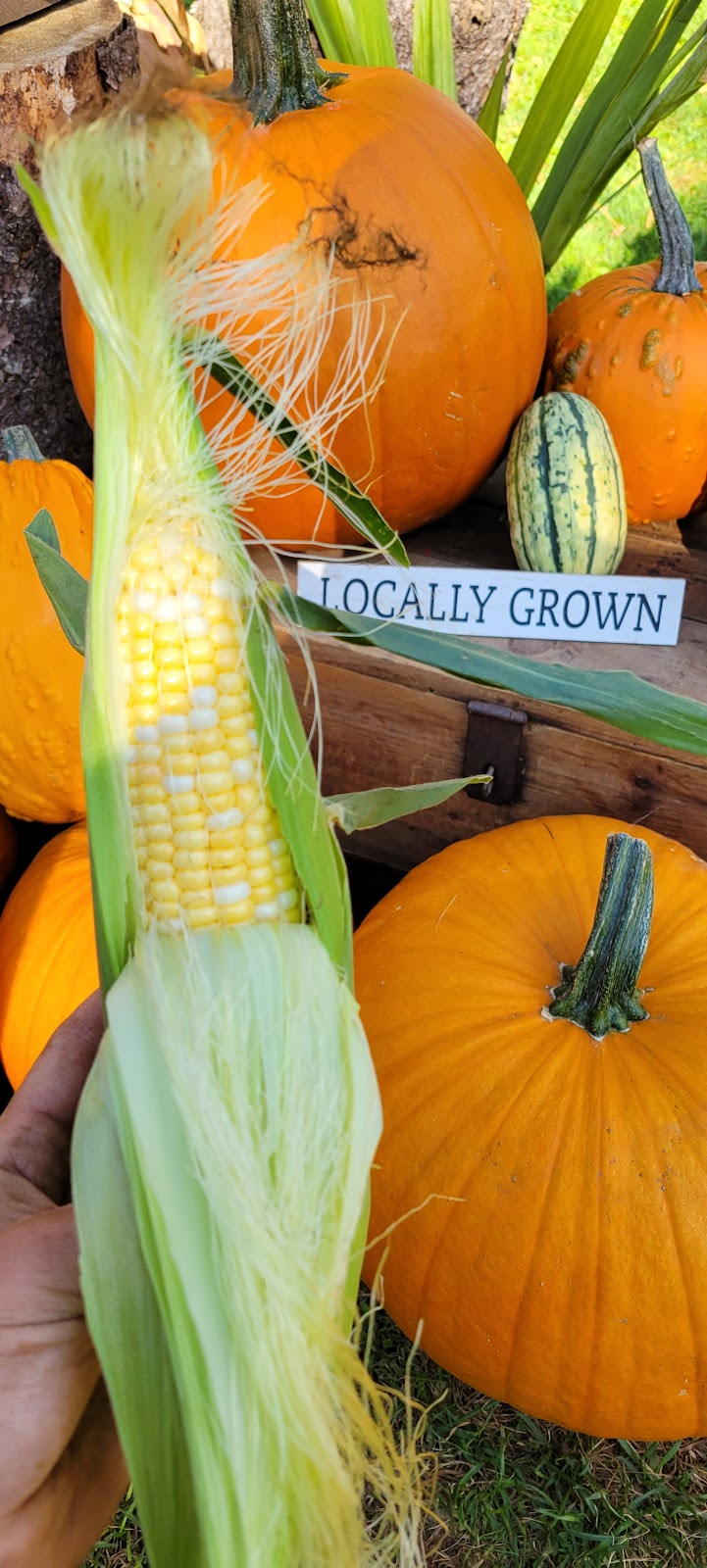 Marché Mcbain | 2126 Bd Valcartier, Saint-Gabriel-de-Valcartier, QC G0A 4S0, Canada | Phone: (581) 307-9143